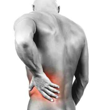 back pain fort collins back pain fort collins