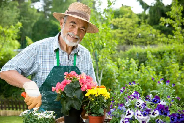 11 Ways to Continue Gardening with Back Pain