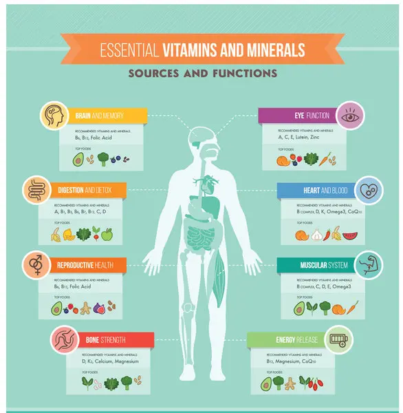 Healing and Nutrition