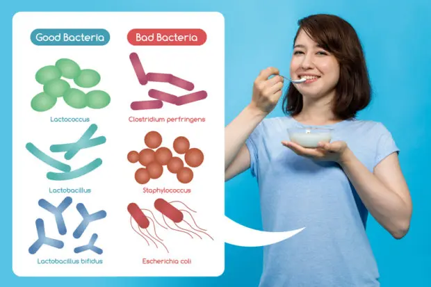 Brunette young woman in a blue shirt that is eating healthy food. A diagram stemming from her stomach shows some good gut flora and bad gut flora bacteria examples.